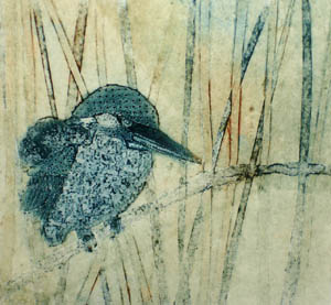 Kingfisher