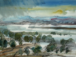 Mangrove, Firth of Thames