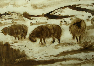 Winter Sheep