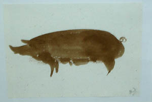 Pig