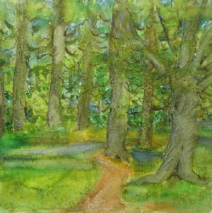 Spring Woodland